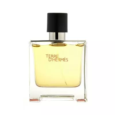 Hermes Terre D Hermes Pure Parfum For Men EDP