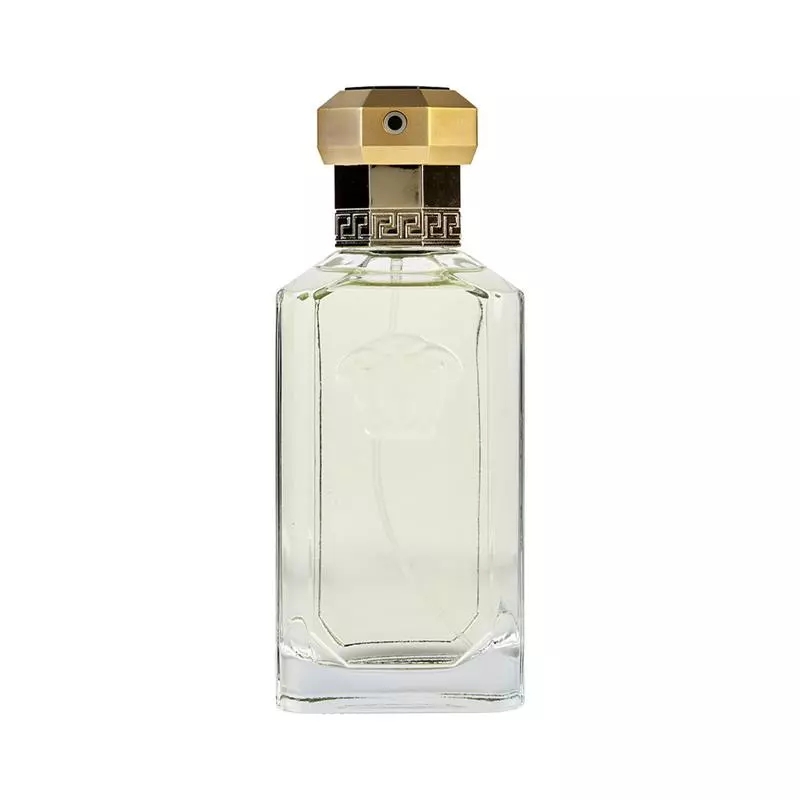 Versace the dreamer for him eau de toilette 100ml new arrivals