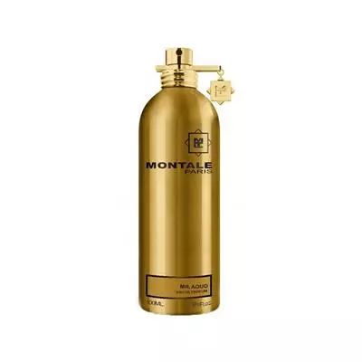 Montale Mr Aoud For Women And Men EDP