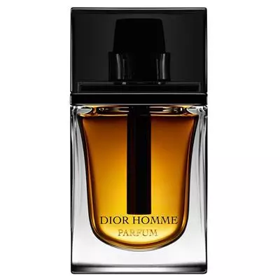 Christian Dior Homme Parfum For Men EDP