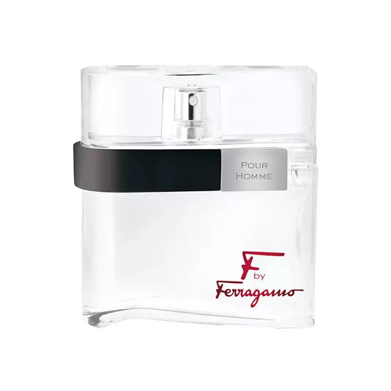 f by ferragamo pour homme