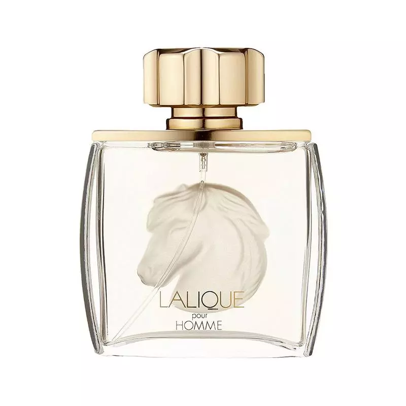 نقد، بررسی و خرید Lalique Equus Pour Homme For Men EDP