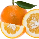 نارنج Bitter Orange