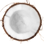 نارگیل Coconut