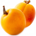 زردآلو Apricot