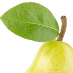 برگ گلابی Pear Leaf