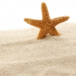 شن Sand